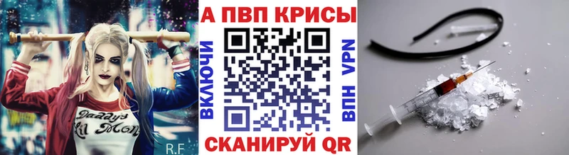 OMG tor  Борзя  Alfa_PVP крисы CK 