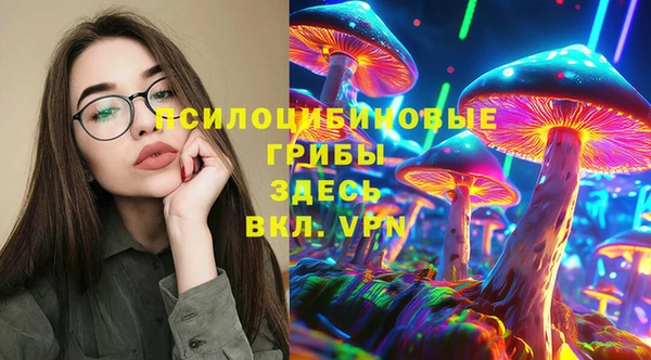 молекула духа Пестово