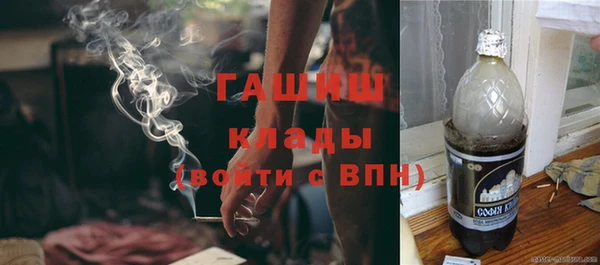 молекула духа Пестово