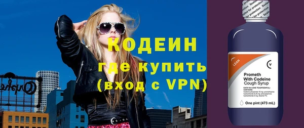 молекула духа Пестово