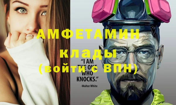 молекула духа Пестово