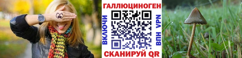 продажа наркотиков Борзя Галлюциногенные грибы прущие грибы