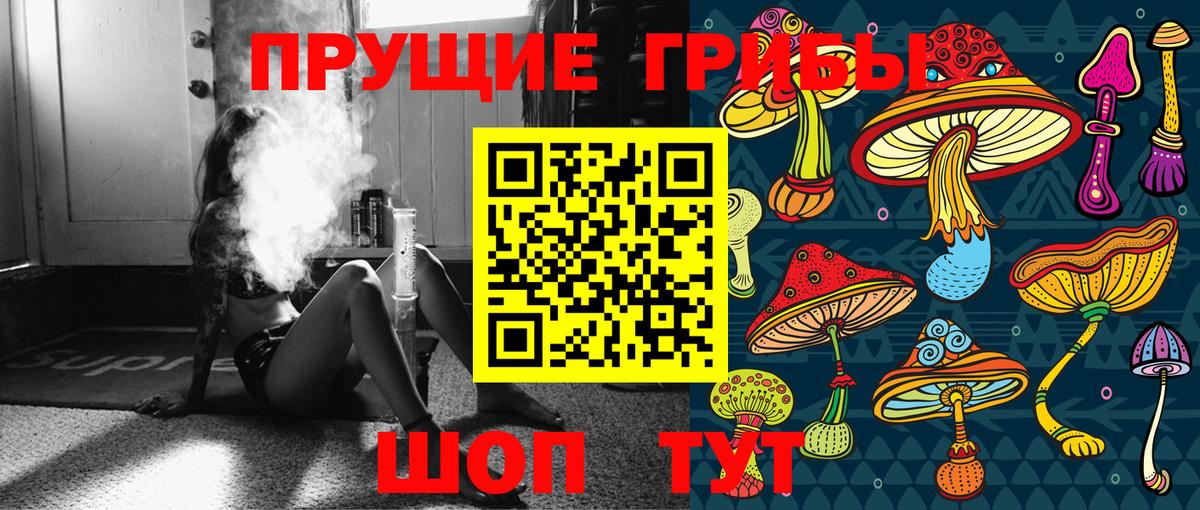 Борзя  Галлюциногенные грибы Cubensis  Вход с VPN 