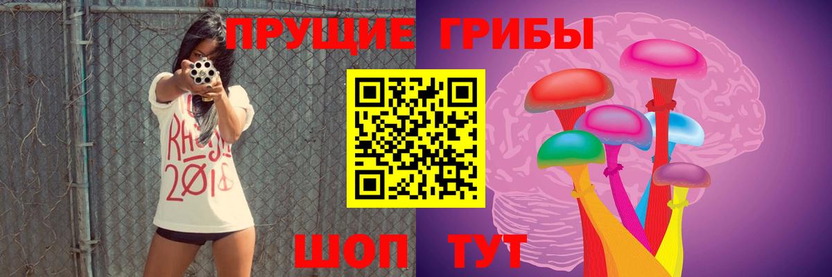 Галлюциногенные грибы Psilocybe Борзя