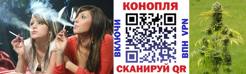 Бошки марихуана гибрид  mega зеркало  Борзя  как найти  
